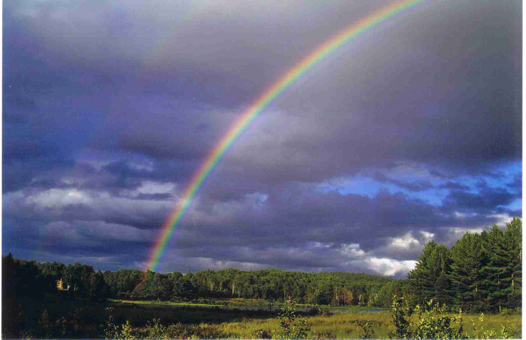 to North Algona Wilberforce